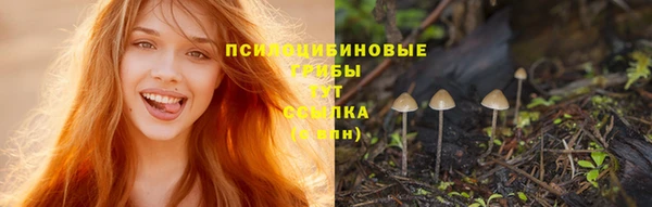 синтетический гашиш Алексин