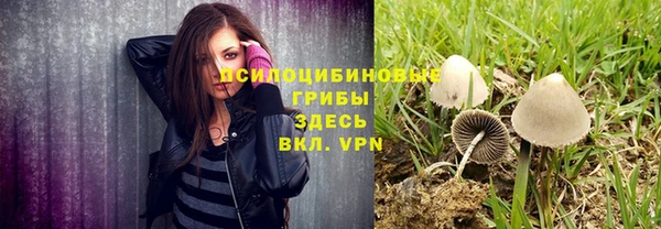 синтетический гашиш Алексин