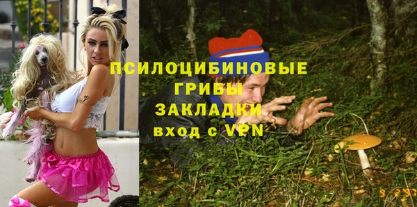 твердый Алзамай