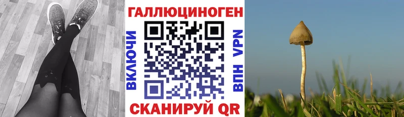 Псилоцибиновые грибы мицелий  OMG ТОР  Аша 